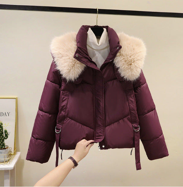 Dam nano kort thermo pufferjacka med detachable faux fur krage, hög closing ståkrage, och fåll med dragsko